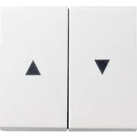 GIRA Schalter GIRA 029403 Wippe 2fach Pfeil System 55 Reinweiß glänzend