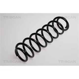 Triscan Feder hinten Skoda Fabia 875029124