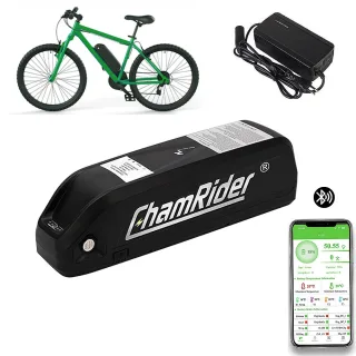 [EU Direct] ChamRiderHailong 1-2 48V 19.2Ah 921.6Wh Downtube Electric Bike Battery - Powered by Premium 4800mAh 21700