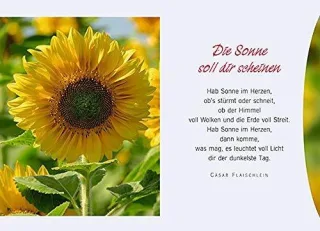 Gute Wünsche zum Geburtstag: Geflügelte Weisheiten