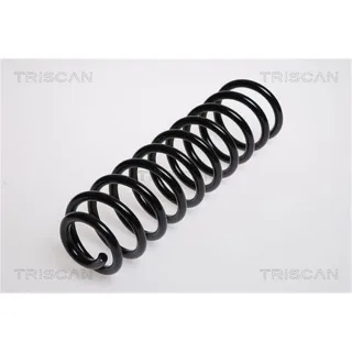 Triscan Feder hinten Seat Cordoba VW Polo 875029148