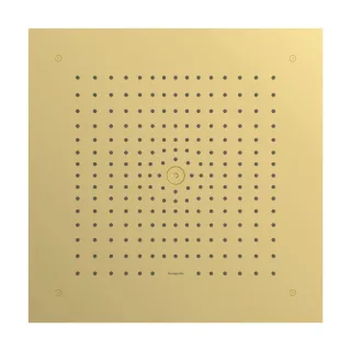Hansgrohe Kopfbrause Raindance E 400 1jet Unterputz polished gold optic , 26252990 26252990