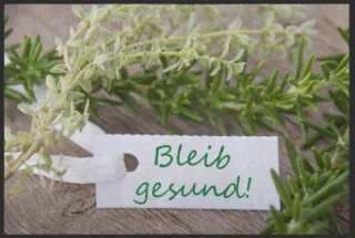 Fussmatte Bleib gesund 5053 | Größe: 60 cm x 45 cm