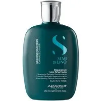 Alfaparf Haarshampoo Alfaparf Recontruction Reparative Low Shampoo 250ml