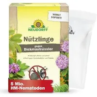 Neudorff Nematoden Nützlinge gegen Dickmaulrüssler 5 Mio HM-Nematoden, Biologische Schädlingsbekämpfung mit HM-Nematoden
