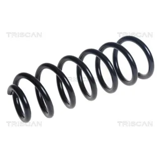 Triscan Feder vorne Mercedes C-Klasse W205 875023206