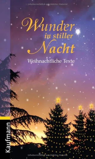Wunder in stiller Nacht: Weihnachtliche Texte