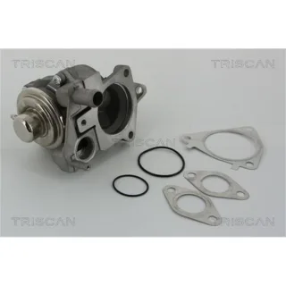 Triscan AGR-Ventil Citroen Fiat Iveco Peugeot 3,0