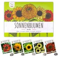 HappySeed Blumensamen Farbenfrohe Sonnenblumen Samen - für einen bienenfreundlichen Garten, Sonnenblumen