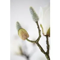 Fink Kunstblume Magnolienzweig weiß