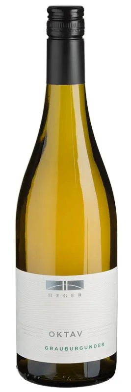 Oktav Grauburgunder trocken - 2024 - Heger - Deutscher Weißwein