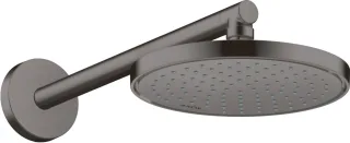 Hansgrohe Kopfbrause 220 1jet EcoSmart 35383340