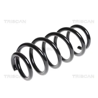 Triscan Feder hinten Toyota Rav 4 3 875013166