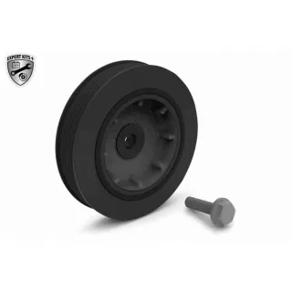Vaico Riemenscheibensatz f?r Kurbelwelle Renault 19 Clio Kangoo Megane Sc?nic 1,9