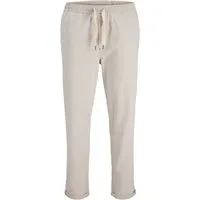 Jack & Jones Sweathose JPSTACE SOLAR JOGGER PANT