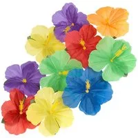 Boland Kostüm Dekoblüten Hibiscus Hawaii 24 Stk