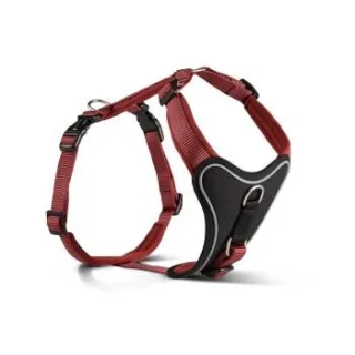 Wolters Professional Comfort Hundegeschirr rot L