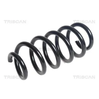 Triscan Feder hinten Toyota Rav 4 4