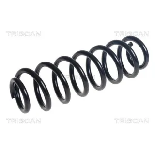 Triscan Feder hinten VW Tiguan AD