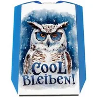 speecheese Parkscheibe Cool bleiben Parkscheibe Schneeeule mit Sonnenbrille