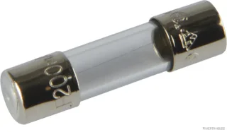 HERTH&BUSS Sicherung, Glas, F flink, 5 x 20mm, 250V max. - 50295041