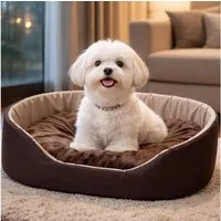 Best for Pets Hundebett Gemütliche Hundehütte mit Kissen für kleine Haustiere–bequem&waschbar, Wasserdicht, kratzfest, herausnehmbares Kissen, langlebig