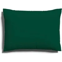 Schlafgut Kissenbezug EASY JERSEY Kissenhülle 100% Baumwolle, weicher Edel-Jersey, bügelfrei, (1 Stück), mit farblich angepasstem Reißverschluss, pflegeleicht, formstabil
