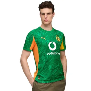 Puma BVB Torwarttrikot 25/26 946434