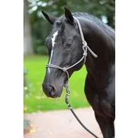 Kerbl Knotenhalfter Knotenhalfter Größe Pony navy / beige 3297743