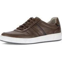 Pius Gabor Sneaker, Freizeitschuh, Komfortschuh, Schnürschuh mit Ziernähten, G-Weite