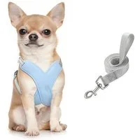 FOUORTUNATE-BEE Hunde-Geschirr Hundegeschirr Set mit verstellbarer Leine für Hunde, Hundegeschirr mit verstellbarer Leine – Set für Hunde