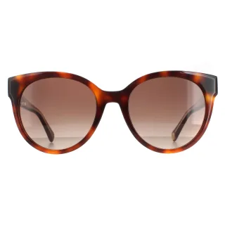 Tommy Hilfiger Cat Eye Damen Havanna Braun Gradient TH 1885/S