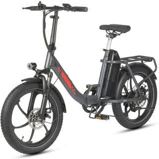 [EU DIRECT] Mule Electric Bike 48V 20AH Battery 250W Motor Top Speed 25KM/H 20*4.0inch Tires 50-70KM Max Range 120KG Max