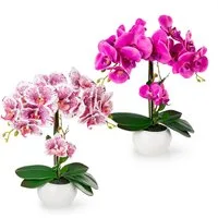 Kunstorchidee PASCH® Orchidee künstlich wie echt (40cm) in Hochglanz-Keramiktopf Orchidee, PASCH