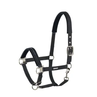 Halfter BASICS Dornschnalle silber