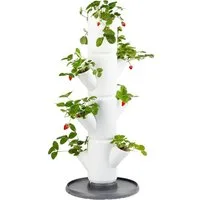 Gusta Garden Hochbeet SISSI STRAWBERRY starter (inkl. Wasserauslaufschutz & Wasserleitsystem), Erdbeerbaum mit 4 Etagen, weiß