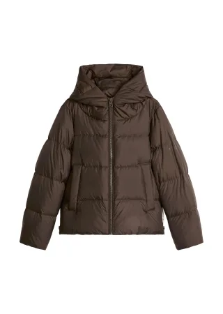 Marc OPolo Casual - Puffer-Daunenjacke mit Kapuze regular Burnt Coffee - Gr. - 36