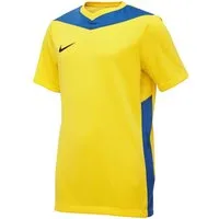 Nike Fußballtrikot Nike Performance Park Derby IV Trikot Kids Teamsport