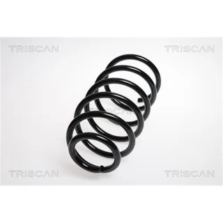 Triscan Feder vorne VW Lupo New 1,6