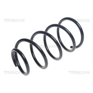 Triscan Feder vorne Volvo V40 875027123