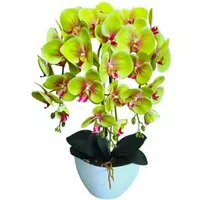 Kunstorchidee Orchidee, damich, Höhe 60 cm, Künstliche Orchideenblumen Orchidee grün