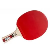 Tischtennisschläger Legends 900 FSC, Fitnessgerät
