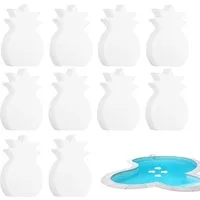FELIXLEO Reinigungsschwamm Oelabsorbierender Schwamm Pool Spa 10er Set Sauberes Wasser