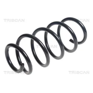 Triscan Feder Vorne Kia Sorento 2 2,2