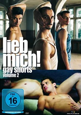 Lieb mich! Gay Shorts - Volume 2 [DVD] [2009]
