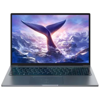 Blackview GamiBook 8 Laptop 16 Inch AMD Ryzen 7 7735HS 32GB DDR5 1TB SSD Windows 11 Pro WIFI 6 Fingerprint Unlocking 57W