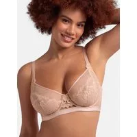 Dorina Bügel-BH (1-tlg) Curves mit feinem Spitzenbesatz