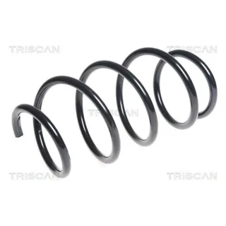 Triscan Feder vorne Renault Grand Megane Sc?nic 87502596