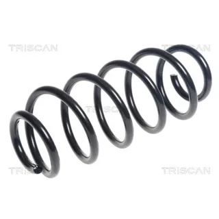 Triscan Feder hinten Toyota Verso 1,4