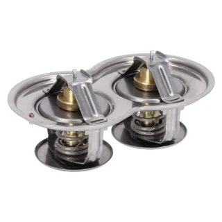 Febi Doppelthermostat